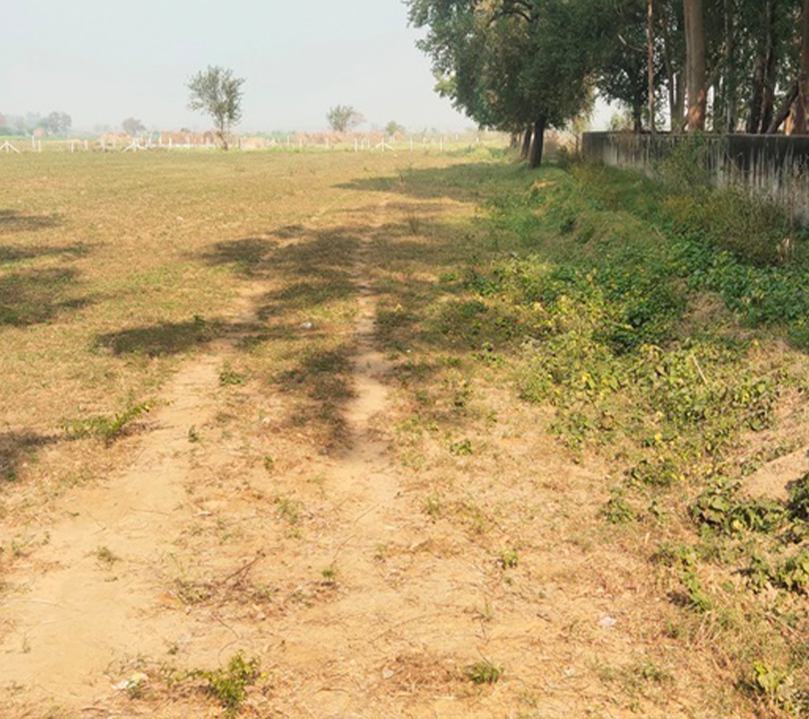 Free Zone Land Service Image